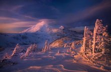Marc Adamus