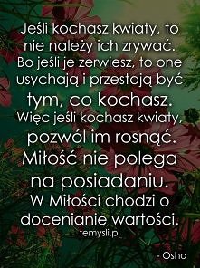 Kwiaty ---> MIŁOŚĆ