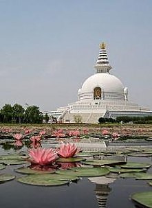 World Peace Pagoda at the b...