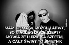 Słoń
D2B4