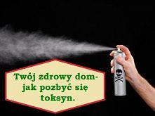 Ogólne strategie zmniejszające poziom toksyn w domu.
