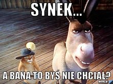 synek