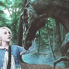 Najbardziej uwielbiam Lunę ...