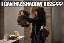 Zlot Kociaków z Rose Hathaway
