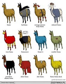 <3 uwielbiam lamy :D