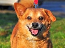 Zawsze uśmiechnięty Lisner :) « Szczegóły na Zoomia.pl