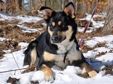 Afra - prześliczna panna :) « Szczegóły na Zoomia.pl