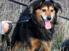 Kraken_Jestem teraz tu  « Szczegóły na Zoomia.pl