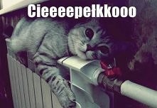 ciepełko :))))