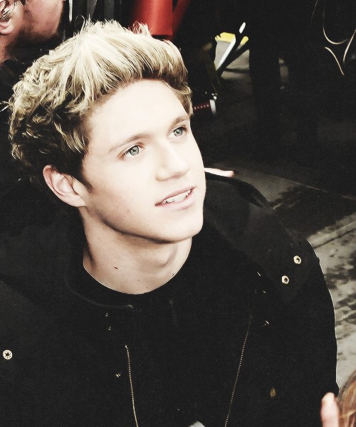 niall <3