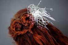 Fot.Łukasz Ziembicki