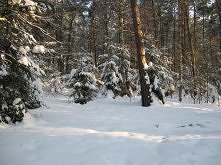Zdjęcie z czasów kiedy jesz...