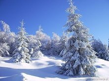 Cudowne widoki zimą