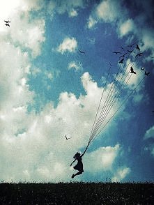 let's fly