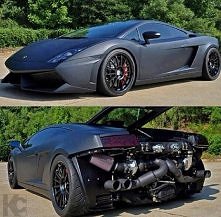 Matooowy Lambo *_*  /Req449