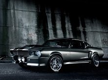 mustang *_*