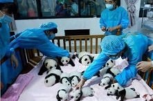 Ktoś chętny do pracy? :)