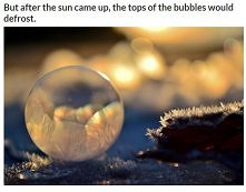 zamarznięta bańka mydlana