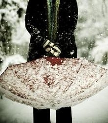 where is my umbrella?