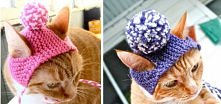 Kocie czapki 3