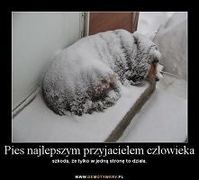 Szkoda, że to idzie tylko w...