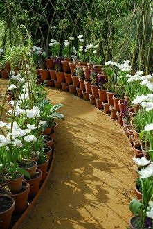 tylko zwiedzać taki ogródek ;D