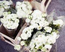 White roses