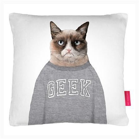 *** grumpy cat***
