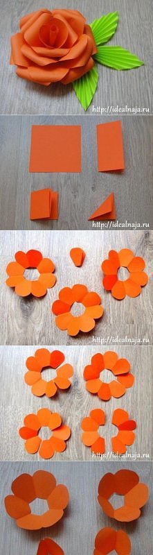 róża z papieru