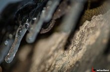 Sopelki:)
lepszezdjecie.pl