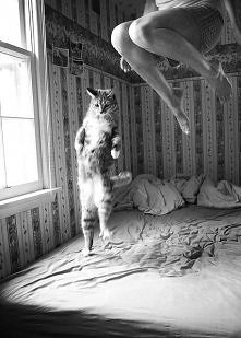 morning