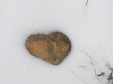 *o* znalazłam to na poobiednim spacerku po wiosce :)Zima mnie chyba kocha :p