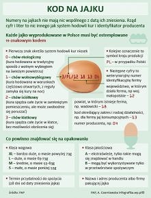Kod na jajku
