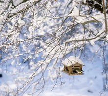 Ciepły zimowy domek