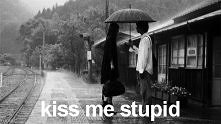 Kiss me stupid