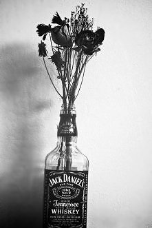 jack <3