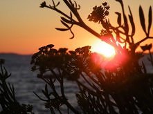 Ja chcę nad morze :D