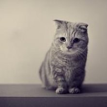 Tak mi smutno, tak mi źle...