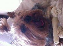 ` mój mały diabełek. ;)