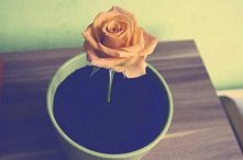 Jadalna ziemiaa jako prezen...