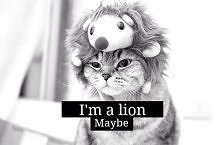 Nigdy nie udaję kogoś kim n...