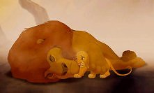 król lew ♥
..gif..