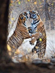 #13 Bycie kobietą to także walka nie tylko o siebie, swoje potrzeby i pragnienia, ale przede wszystkim walka o szczęście i bezpieczeństwo bliskich osób...