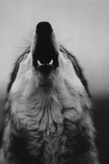 Śmierć...tak ludzka.. i tak...