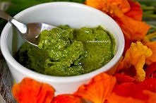 Pesto z rukoli