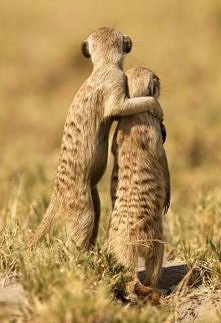 Komentarz nie jest potrzebn...