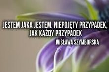 mój ulubiony cytat <3