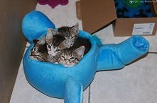 Mordeczki  kochane  <333