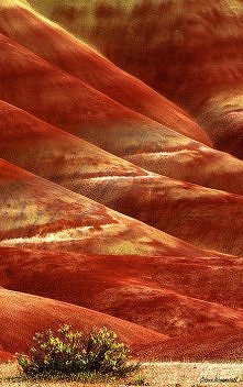 Painted Hills of Oregon