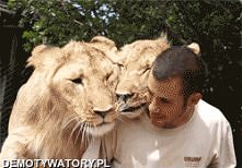 takiego kociaka mieć....